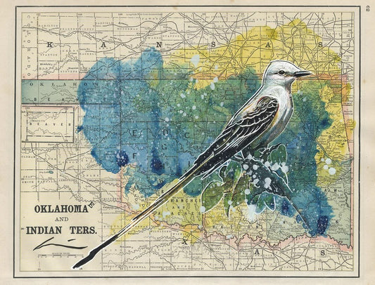 O.K. and I.T. Scissortail Print