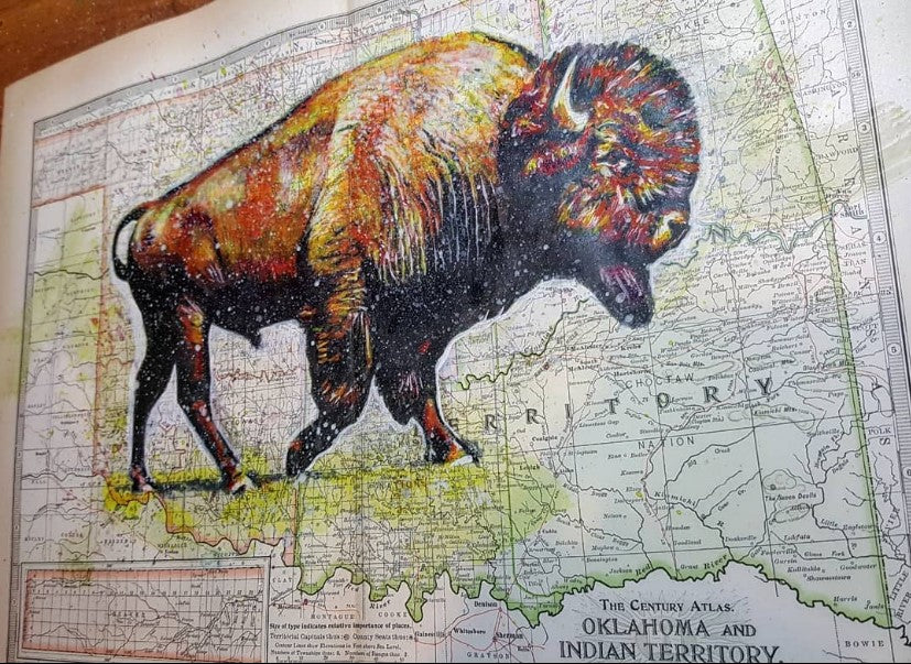 O.K. and I. T. Bison Print